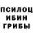 Галлюциногенные грибы прущие грибы Adam Lapitino