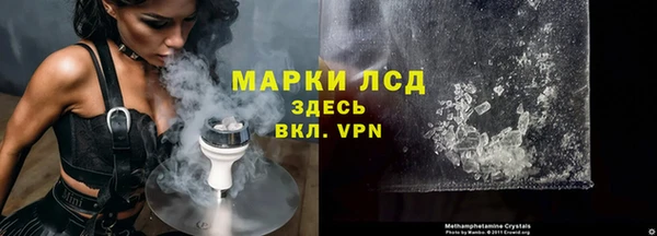 apvp Гусев