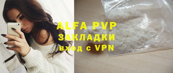 apvp Гусев