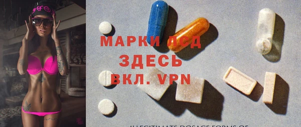 apvp Гусев