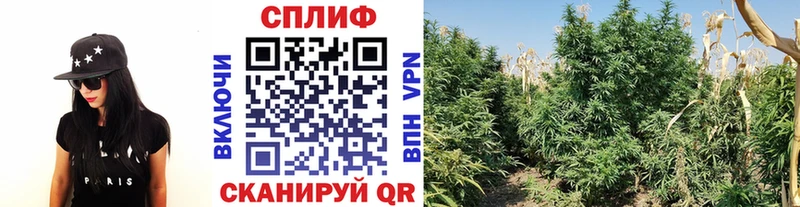 Купить  Ува  Шишки марихуана AK-47 